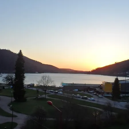 Les Loges Du Parc 3* Gérardmer