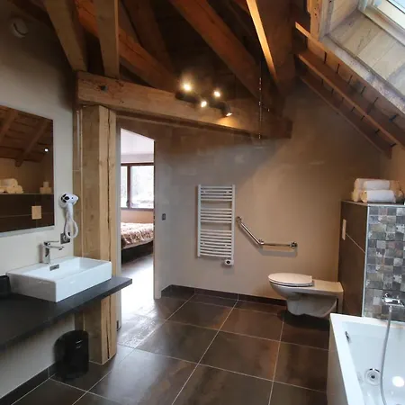 Les Loges Du Parc 3* ג'רארדמר