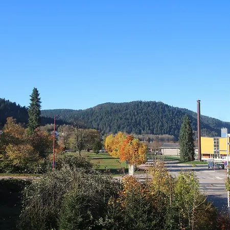 Les Loges Du Parc Gérardmer