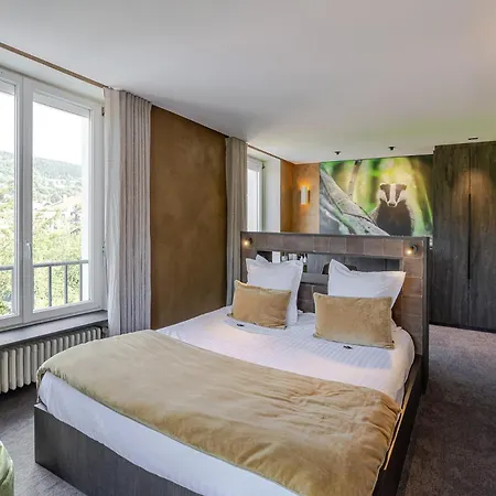 Les Loges Du Parc 3* Gérardmer