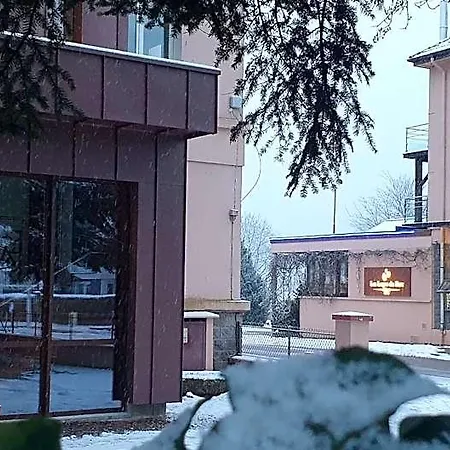 Les Loges Du Parc 3* ג'רארדמר