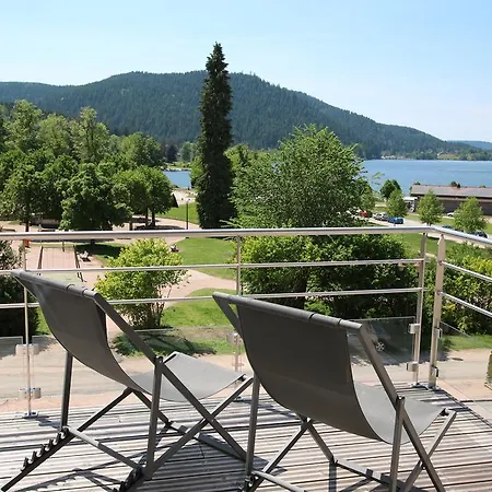 Les Loges Du Parc 3* Gérardmer