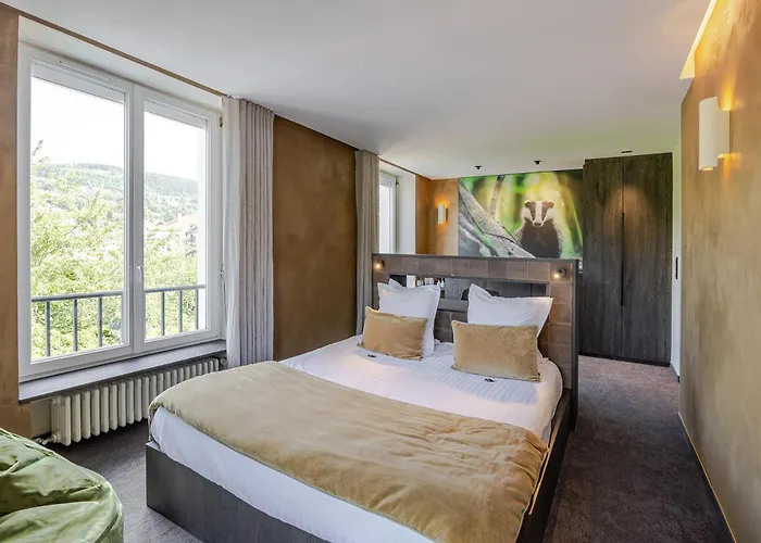 Les Loges Du Parc 3* Gérardmer